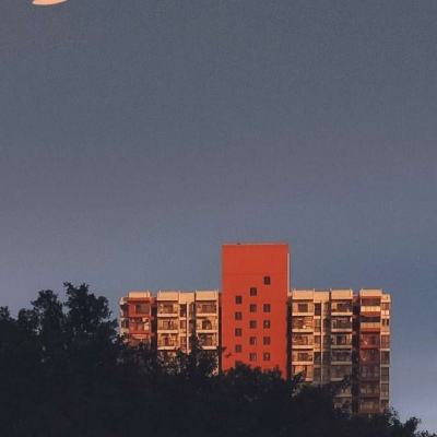 单机的打鱼游戏手机app下载