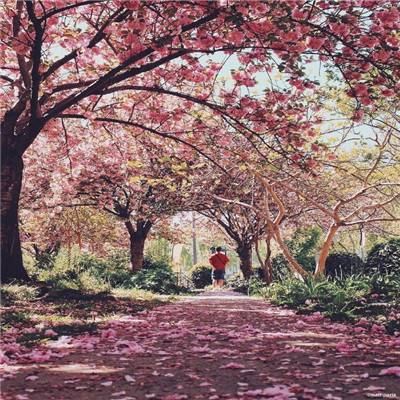 半岛体体育下载