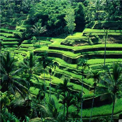 bat365官网登录入口手机app下载