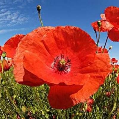 澳门第一娱乐娱城官网