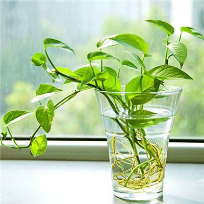 ob体育最新官网app下载